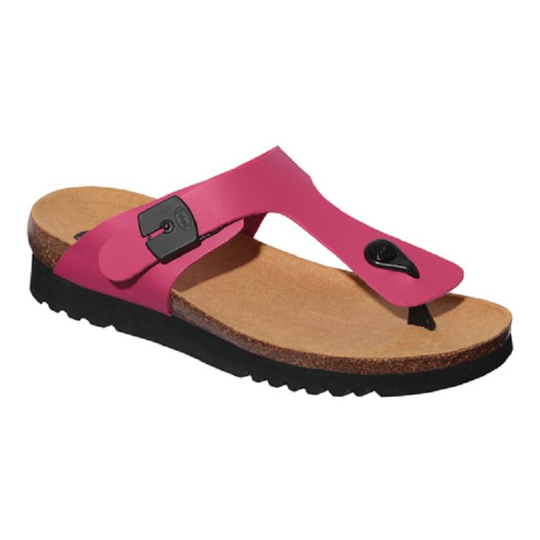 BOA VISTA UP SYN W FUXIA 35